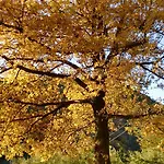 Antica Casa Del Canto-relax, Natura, Bike, Fast Wifi, Private Parking Calice Ligure