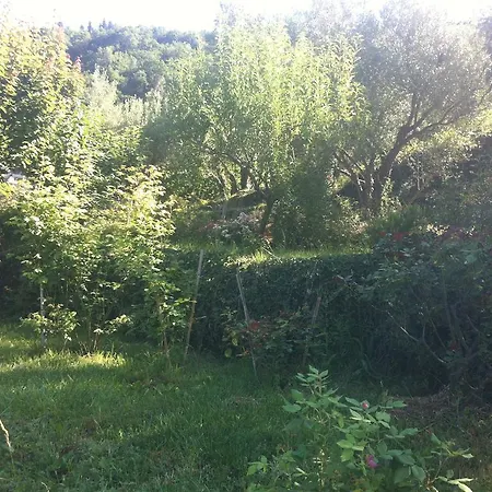 Antica Casa Del Canto-relax, Natura, Bike, Fast Wifi, Private Parking * Calice Ligure