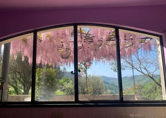 Σπίτι διακοπών Antica Casa Del Canto-relax, Natura, Bike, Fast Wifi, Private Parking Calice Ligure