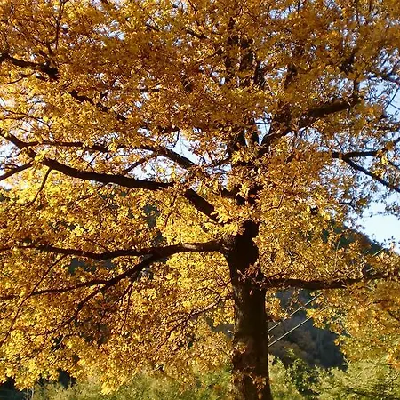 Relax, Natura, Bike, Fast Wifi, Private Parking Calice Ligure