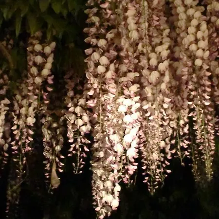 Relax, Natura, Bike, Fast Wifi, Private Parking Prázdninový dům Calice Ligure