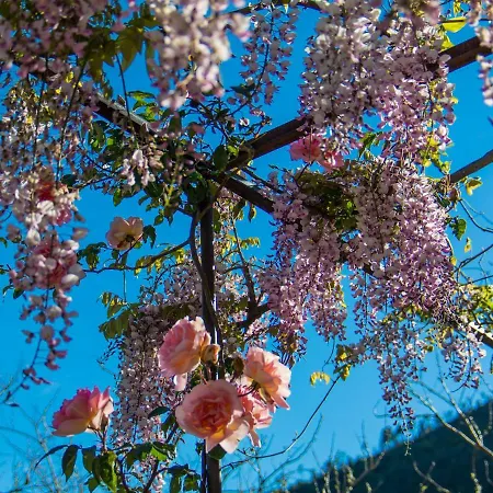 Antica Casa Del Canto-relax, Natura, Bike, Fast Wifi, Private Parking * Calice Ligure