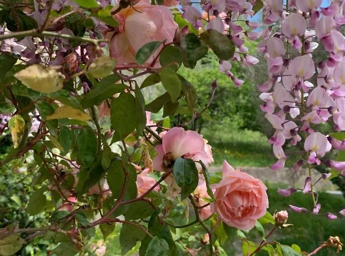 Antica Casa Del Canto-relax, Natura, Bike, Fast Wifi, Private Parking בית נופש *