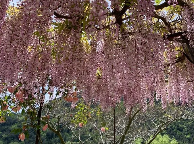 בית נופש Antica Casa Del Canto-relax, Natura, Bike, Fast Wifi, Private Parking