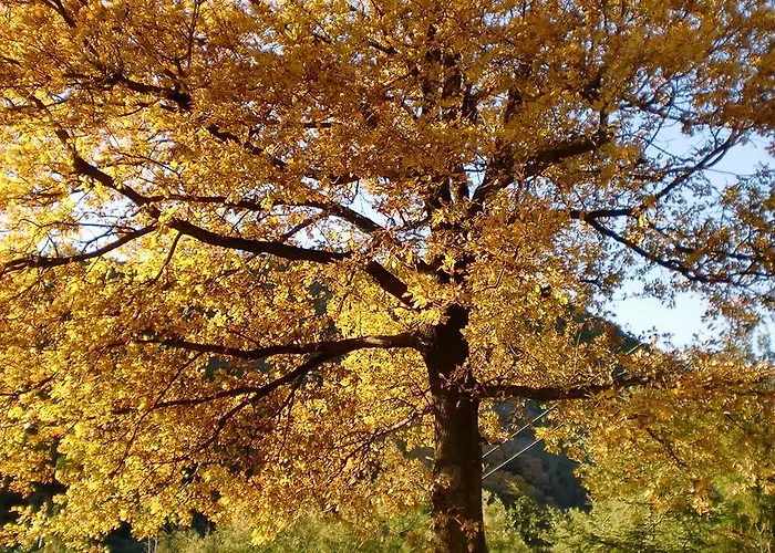 Antica Casa Del Canto-relax, Natura, Bike, Fast Wifi, Private Parking Calice Ligure