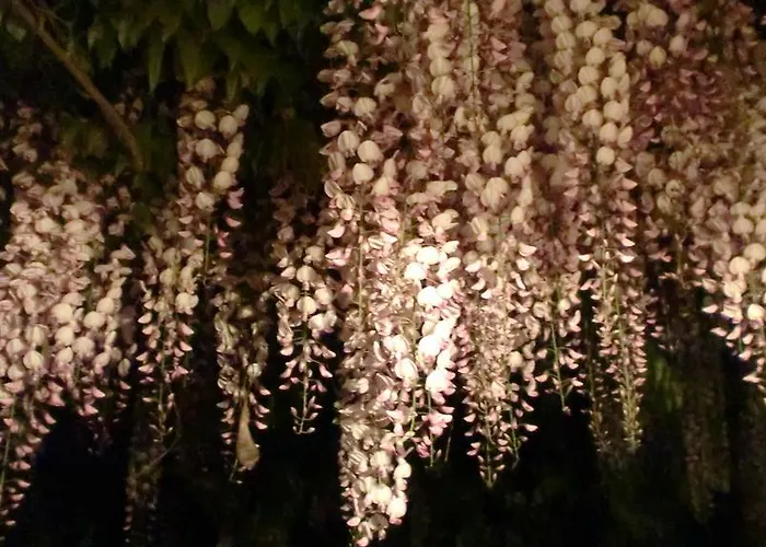 Antica Casa Del Canto-relax, Natura, Bike, Fast Wifi, Private Parking בית נופש Calice Ligure