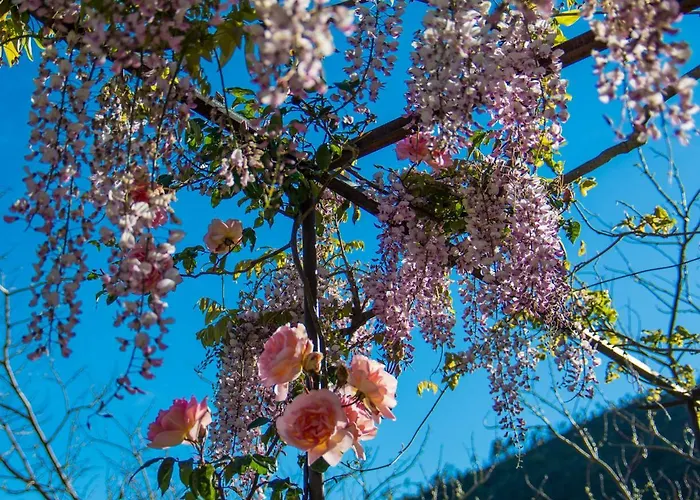 Antica Casa Del Canto-relax, Natura, Bike, Fast Wifi, Private Parking * Calice Ligure